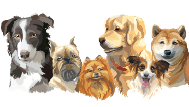 Ultimate Dog Breeds Quiz Ultimate Dog Breeds Quiz
